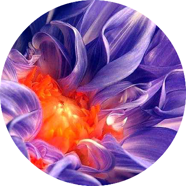 fleur