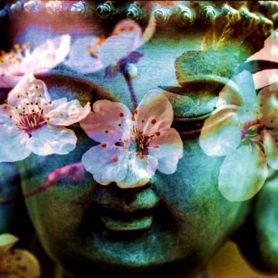jmfdb_34-1