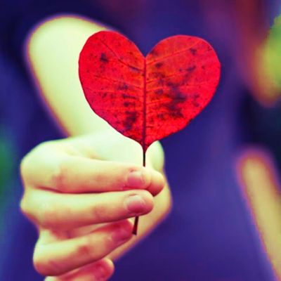 feuille-coeur-2